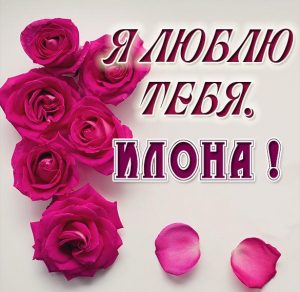 Скачать бесплатно Картинка Илона я тебя люблю на сайте WishesCards.ru