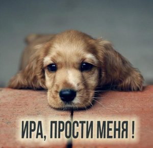 Скачать бесплатно Картинка Ира прости меня на сайте WishesCards.ru