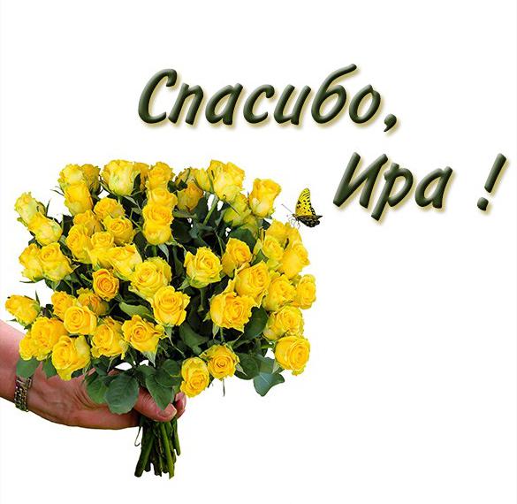Скачать бесплатно Картинка Ира спасибо на сайте WishesCards.ru