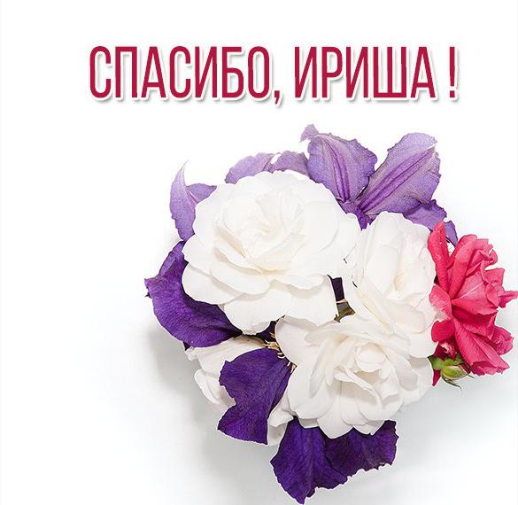 Скачать бесплатно Картинка Ириша спасибо на сайте WishesCards.ru