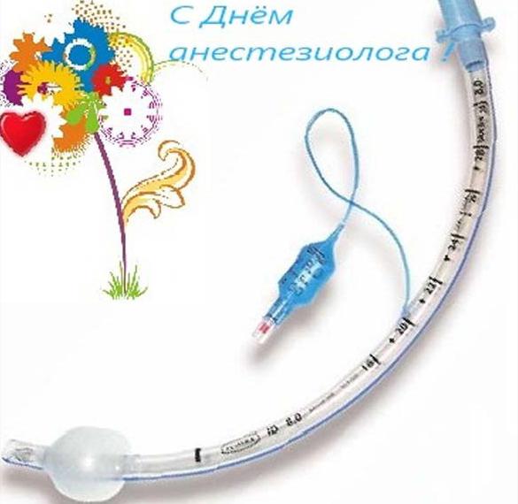Скачать бесплатно Картинка к дню анестезиолога на сайте WishesCards.ru