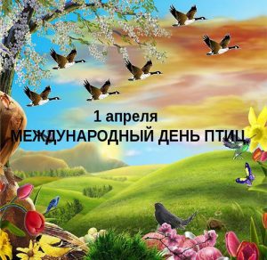 Скачать бесплатно Картинка к дню птиц на сайте WishesCards.ru
