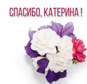Скачать бесплатно Картинка Катерина спасибо на сайте WishesCards.ru