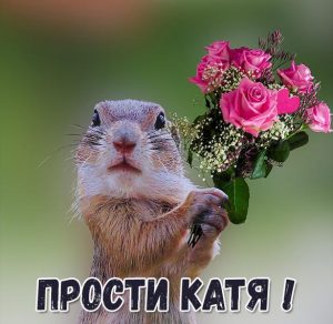 Скачать бесплатно Картинка Катя прости на сайте WishesCards.ru