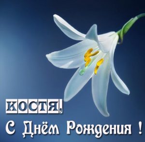 Скачать бесплатно Картинка Косте в день рождения на сайте WishesCards.ru