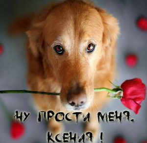 Скачать бесплатно Картинка Ксения прости меня на сайте WishesCards.ru