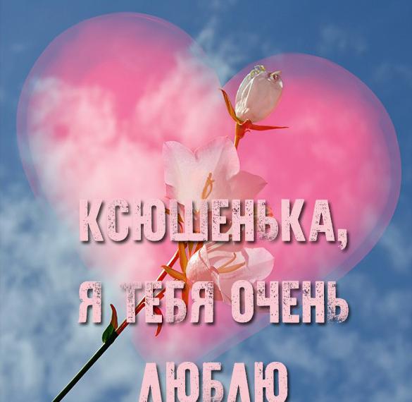 Скачать бесплатно Картинка Ксюшенька я тебя очень люблю на сайте WishesCards.ru