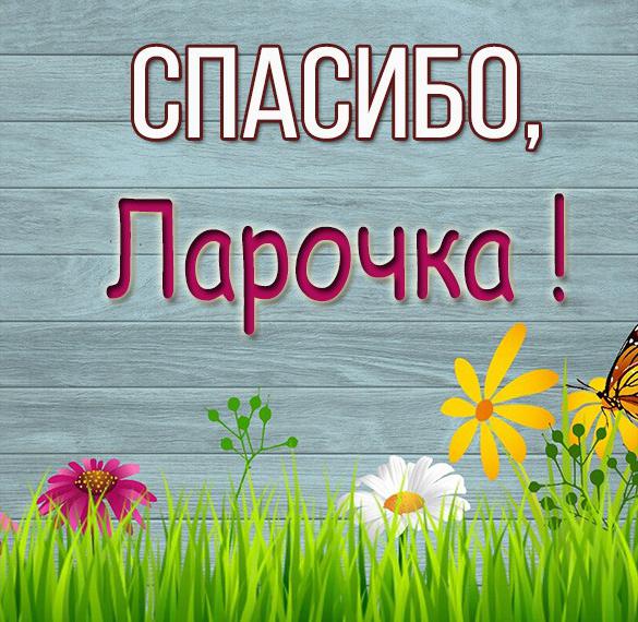 Скачать бесплатно Картинка Ларочка спасибо на сайте WishesCards.ru