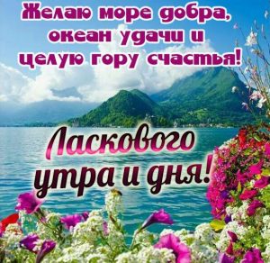 Скачать бесплатно Картинка ласкового утра и дня пожелание на сайте WishesCards.ru