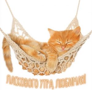 Скачать бесплатно Картинка ласкового утра любимая на сайте WishesCards.ru