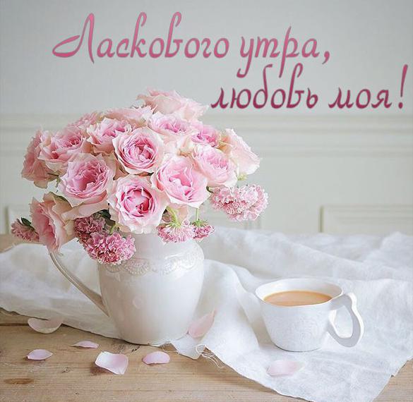 Скачать бесплатно Картинка ласкового утра любовь моя на сайте WishesCards.ru
