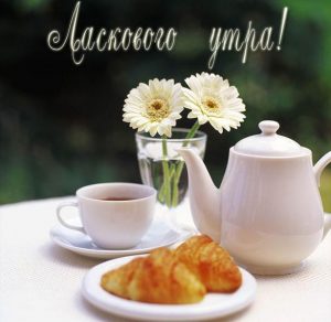 Скачать бесплатно Картинка ласкового утра на сайте WishesCards.ru
