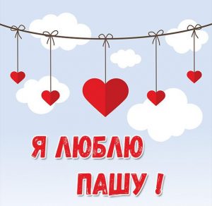 Скачать бесплатно Картинка люблю Пашу на сайте WishesCards.ru