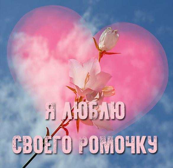 Скачать бесплатно Картинка люблю своего Ромочку на сайте WishesCards.ru