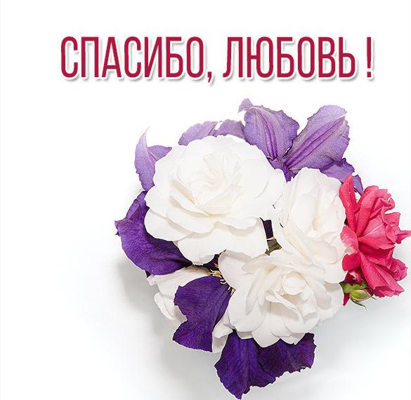 Скачать бесплатно Картинка Любовь спасибо на сайте WishesCards.ru