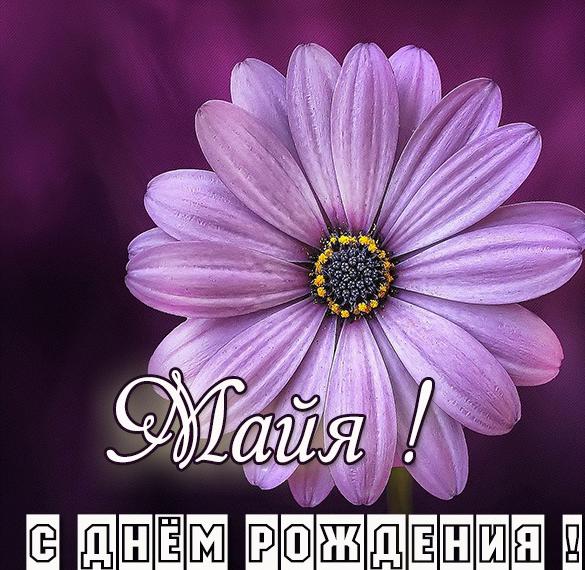 Скачать бесплатно Картинка Майя с днем рождения для девушки на сайте WishesCards.ru