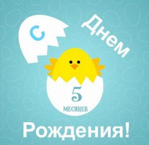 Скачать бесплатно Картинка малышу на 5 месяцев на сайте WishesCards.ru