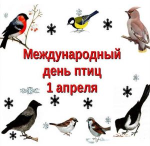 Скачать бесплатно Картинка на 1 апреля международный день птиц на сайте WishesCards.ru