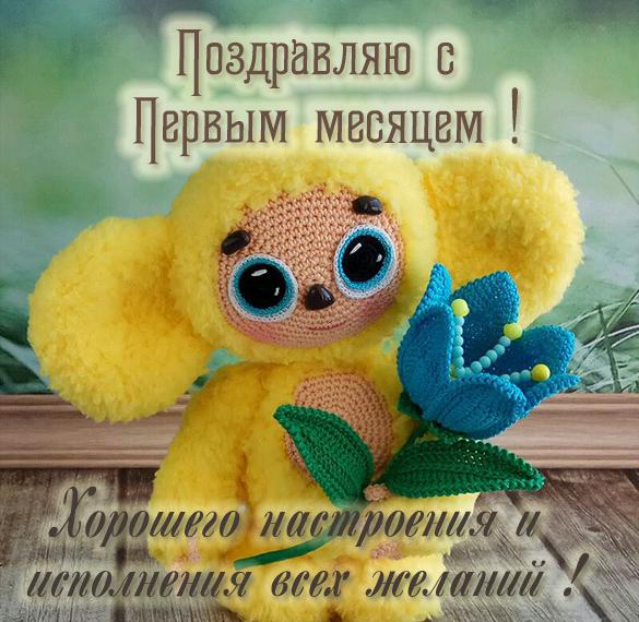 Скачать бесплатно Картинка на 1 месяц девочке на сайте WishesCards.ru