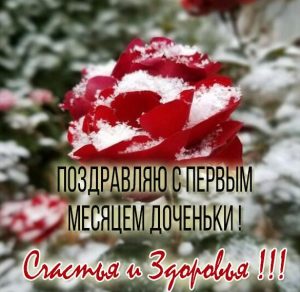 Скачать бесплатно Картинка на 1 месяц дочки на сайте WishesCards.ru