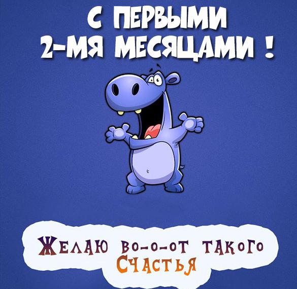Скачать бесплатно Картинка на 2 месяца мальчику на сайте WishesCards.ru