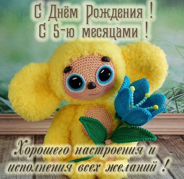 Скачать бесплатно Картинка на 5 месяцев девочке на сайте WishesCards.ru