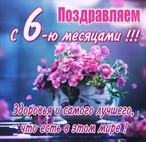 Скачать бесплатно Картинка на 6 месяцев девочке на сайте WishesCards.ru