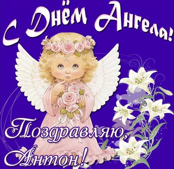 Скачать бесплатно Картинка на день ангела Антон на сайте WishesCards.ru