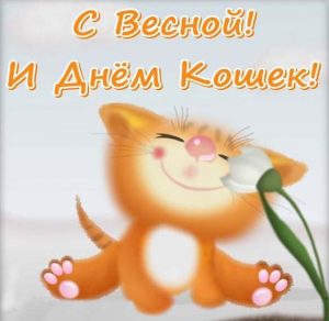 Скачать бесплатно Картинка на день кошек 1 марта на сайте WishesCards.ru