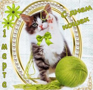Скачать бесплатно Картинка на день кошек 2018 на сайте WishesCards.ru