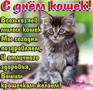 Скачать бесплатно Картинка на день кошек 2019 на сайте WishesCards.ru