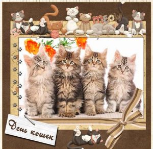 Скачать бесплатно Картинка на день кошек 8 августа на сайте WishesCards.ru