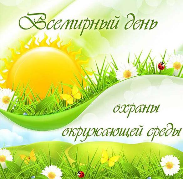 Скачать бесплатно Картинка на день охраны окружающей среды на сайте WishesCards.ru