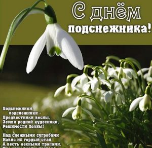 Скачать бесплатно Картинка на день подснежника на сайте WishesCards.ru