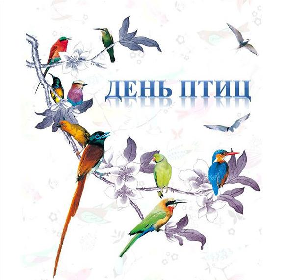 Скачать бесплатно Картинка на день птиц 1 апреля на сайте WishesCards.ru