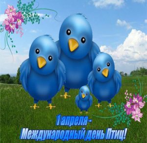 Скачать бесплатно Картинка на день птиц для детей на сайте WishesCards.ru