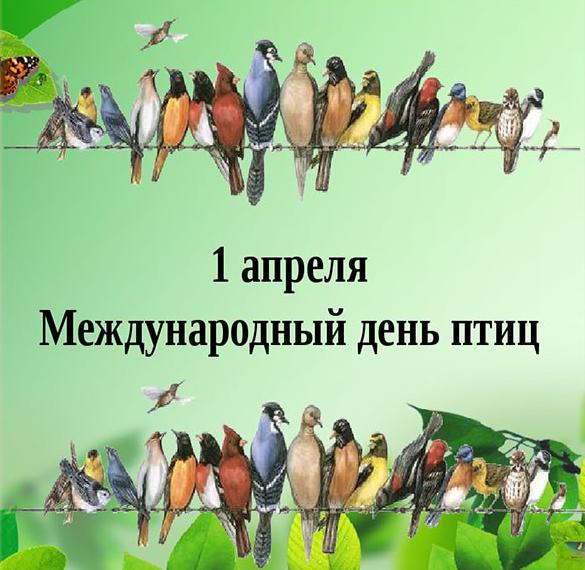 Скачать бесплатно Картинка на день птиц на сайте WishesCards.ru