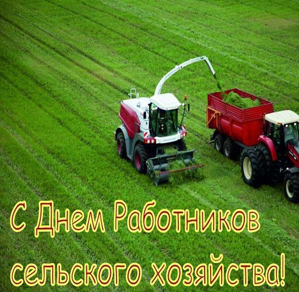 Скачать бесплатно Картинка на день работника сельского хозяйства на сайте WishesCards.ru