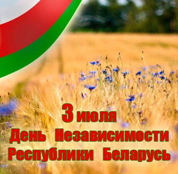 Скачать бесплатно Картинка на день Республики Беларусь на сайте WishesCards.ru