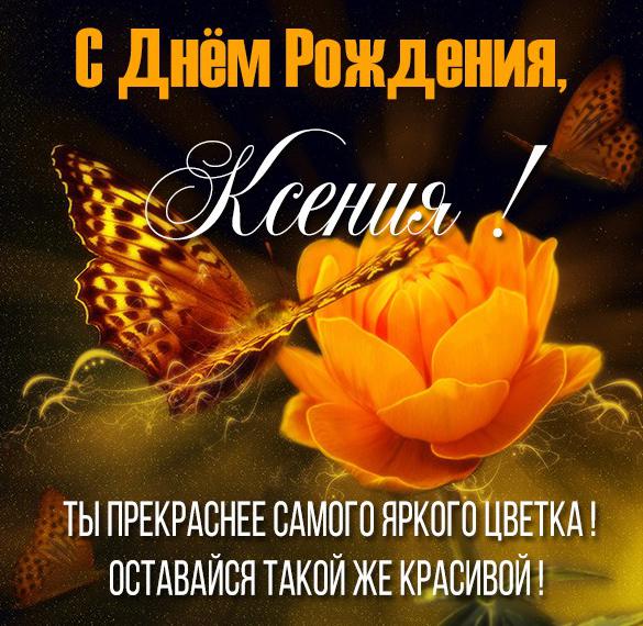 Скачать бесплатно Картинка на день рождения Ксении на сайте WishesCards.ru
