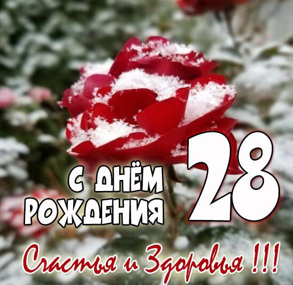 Скачать бесплатно Картинка на день рождения на 28 лет на сайте WishesCards.ru