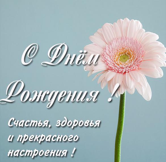 Скачать бесплатно Картинка на день рождения женщине на сайте WishesCards.ru
