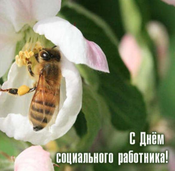 Скачать бесплатно Картинка на день соц работника на сайте WishesCards.ru