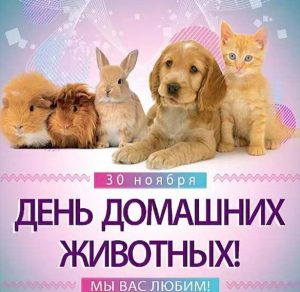 Скачать бесплатно Картинка на день защиты домашних животных 30 ноября на сайте WishesCards.ru