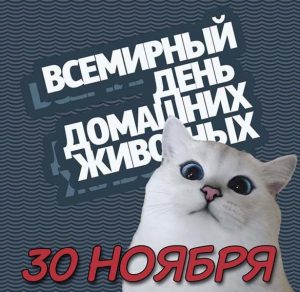 Скачать бесплатно Картинка на международный день домашних животных на сайте WishesCards.ru