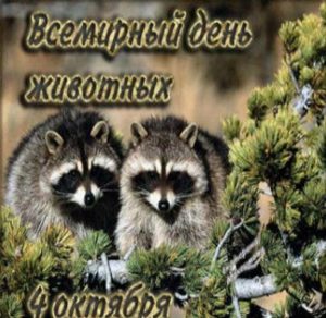 Скачать бесплатно Картинка на международный день защиты животных на сайте WishesCards.ru