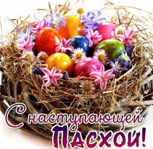 Скачать бесплатно Картинка на Пасху с яйцами на сайте WishesCards.ru