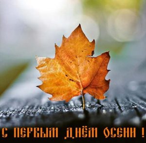 Скачать бесплатно Картинка на Первый день осени 1 сентября на сайте WishesCards.ru