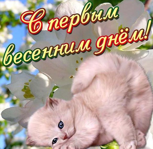 Скачать бесплатно Картинка на Первый день весны 1 марта на сайте WishesCards.ru