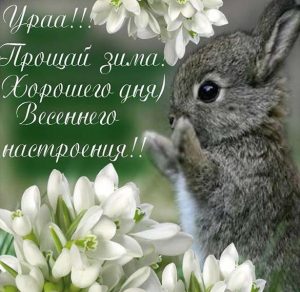 Скачать бесплатно Картинка на Первый день весны с поздравлением на сайте WishesCards.ru